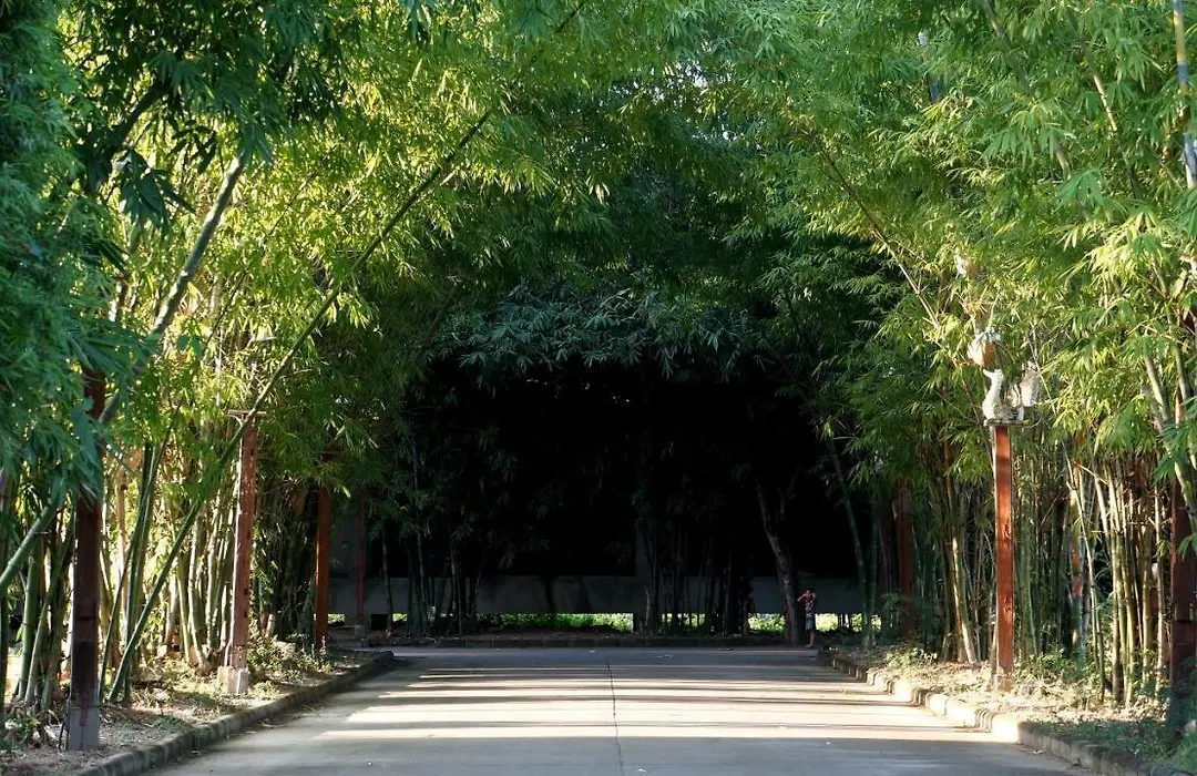 Bamboori Boutique Resort-1