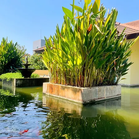 Mountain Creek Wellness Resort Chiangmai-3